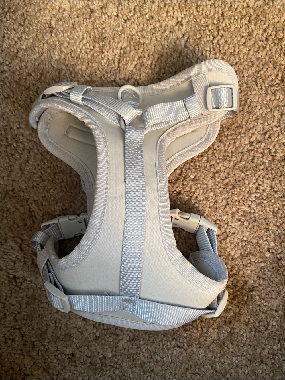 Soft Padded Dog Harness in Light Gray - Comfortable Walk Harness